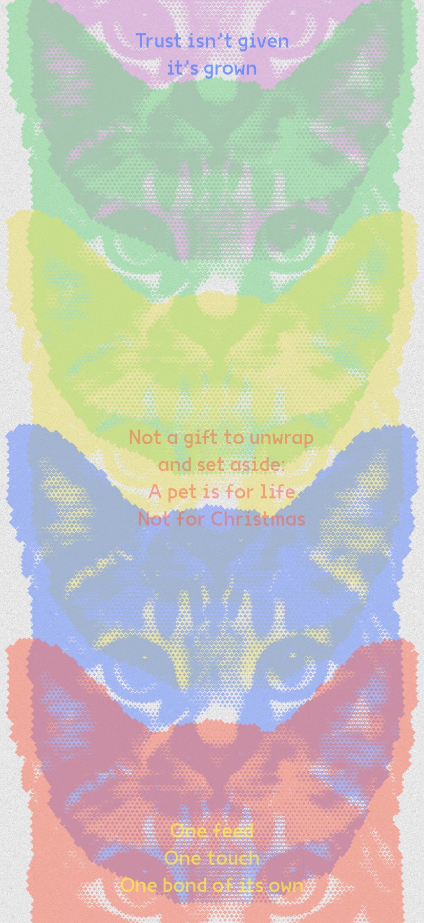 Petrail poster 01